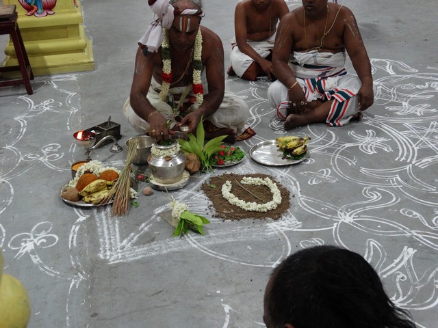 Mylapore SVDD Srinivasa Perumal  May 30,2014 Vaigasi Maasam Angurarpanam and Vishwak Senar purappadu 19