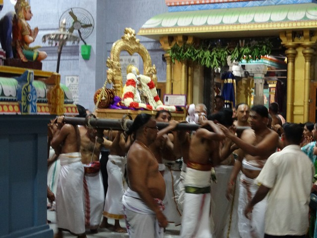 Mylapore SVDD Srinivasa Perumal  May 30,2014 Vaigasi Maasam Angurarpanam and Vishwak Senar purappadu 2