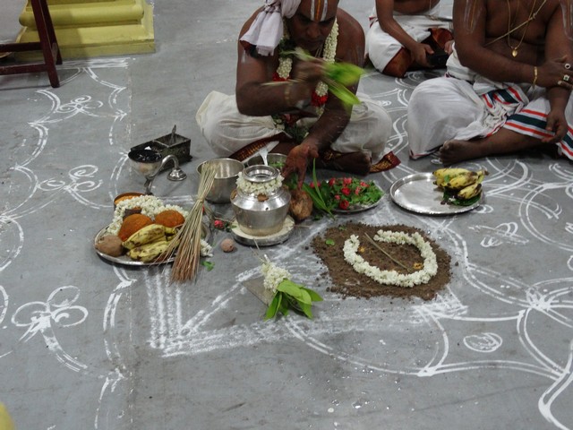 Mylapore SVDD Srinivasa Perumal  May 30,2014 Vaigasi Maasam Angurarpanam and Vishwak Senar purappadu 21