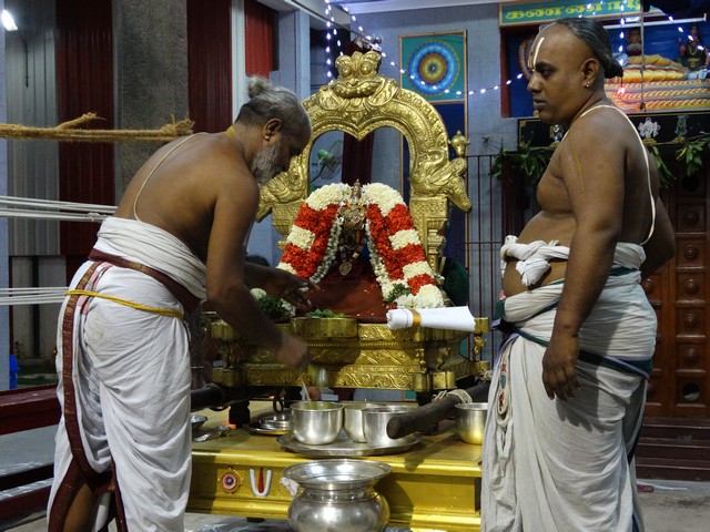Mylapore SVDD Srinivasa Perumal Selvar Ul Purappadu 12