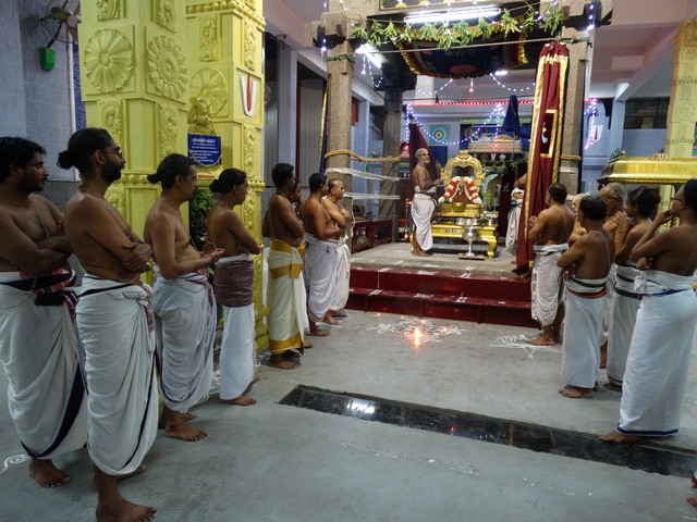 Mylapore SVDD Srinivasa Perumal Selvar Ul Purappadu 14