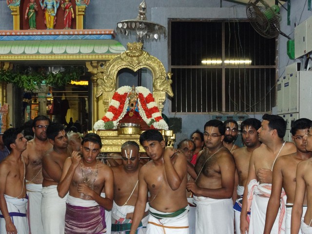 Mylapore SVDD Srinivasa Perumal Selvar Ul Purappadu 2