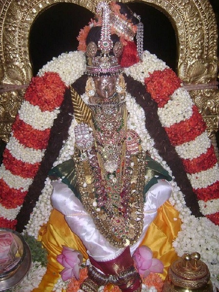 Mylapore  Sri Alamelumangai Thayar kadai Velli15