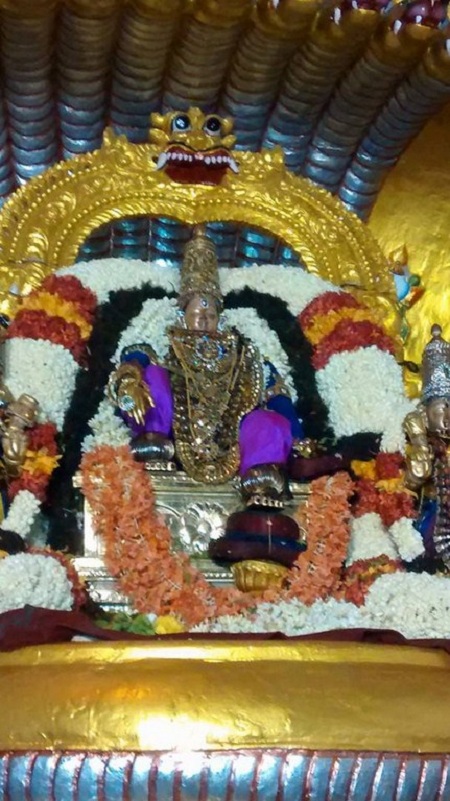 Mylapore Sri Srinivasa Perumal 90th Thiruavathara Uthsavam10