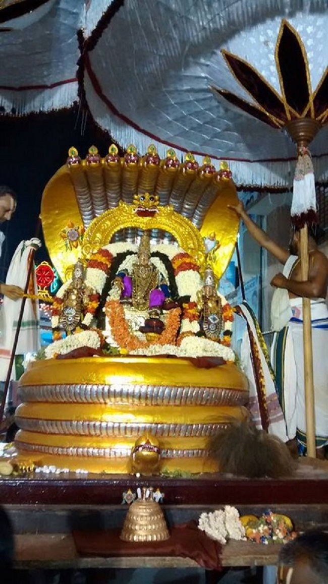 Mylapore Sri Srinivasa Perumal 90th Thiruavathara Uthsavam17