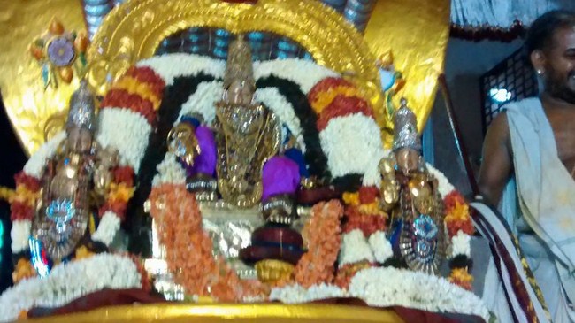 Mylapore Sri Srinivasa Perumal 90th Thiruavathara Uthsavam6