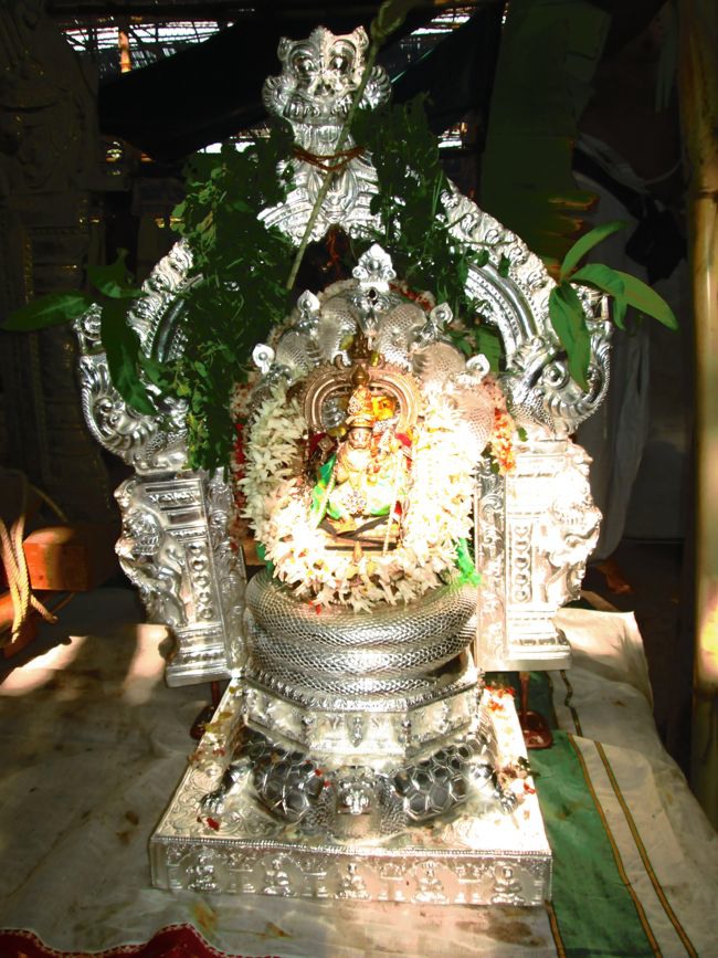 Mysore Sri Lakshmi Narasimhar mahamantra Koti yagyam MahaPoornahuthi  2014--09