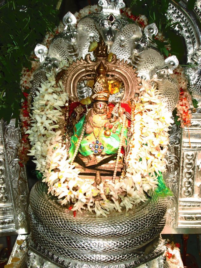Mysore Sri Lakshmi Narasimhar mahamantra Koti yagyam MahaPoornahuthi  2014--10