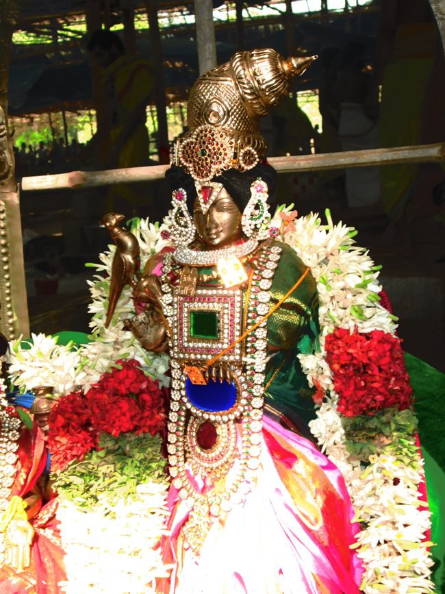 Mysore Sri Lakshmi Narasimhar mahamantra Koti yagyam MahaPoornahuthi  2014--11