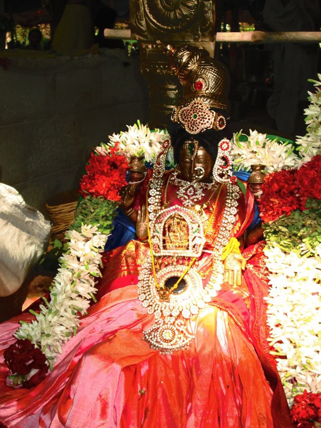 Mysore Sri Lakshmi Narasimhar mahamantra Koti yagyam MahaPoornahuthi  2014--12