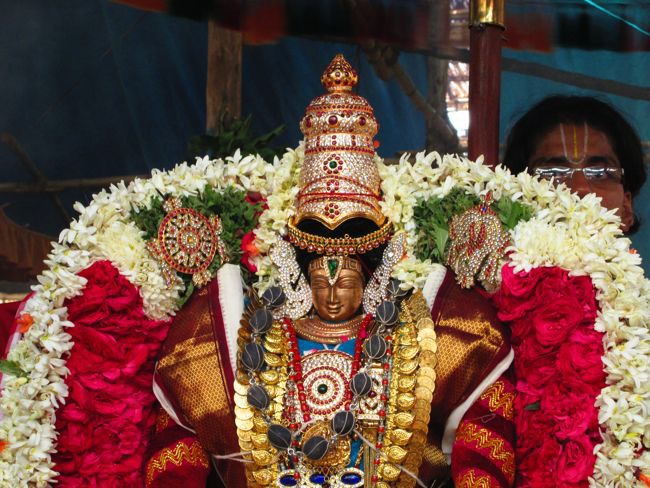 Mysore Sri Lakshmi Narasimhar mahamantra Koti yagyam MahaPoornahuthi  2014--30