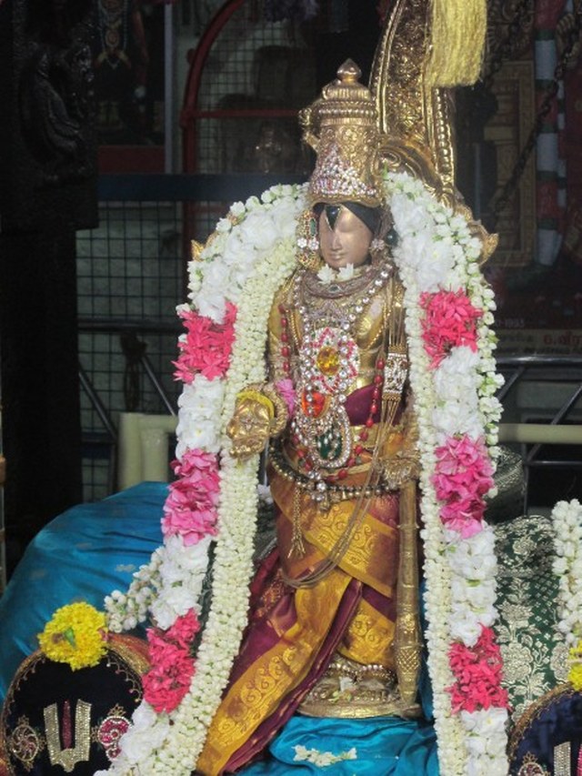 Nagai Soundararaja Perumal temple Avatara Utsavam day 2  2014 -01