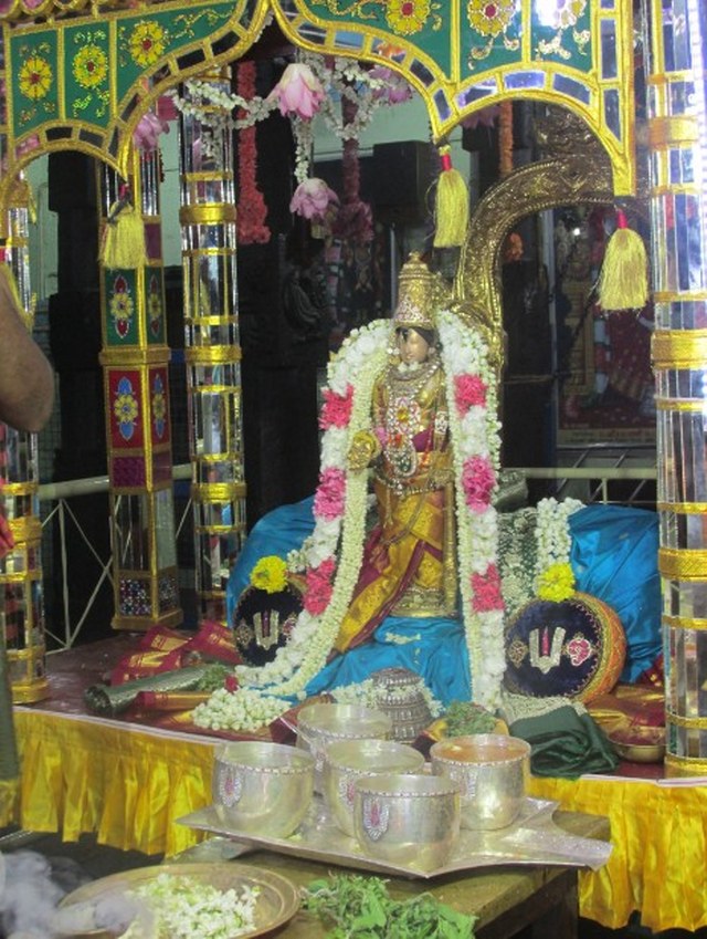 Nagai Soundararaja Perumal temple Avatara Utsavam day 2  2014 -02