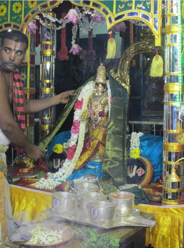Nagai Soundararaja Perumal temple Avatara Utsavam day 2  2014 -03