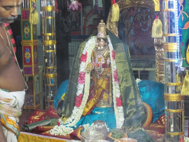Nagai Soundararaja Perumal temple Avatara Utsavam day 2  2014 -06