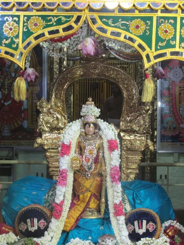 Nagai Soundararaja Perumal temple Avatara Utsavam day 2  2014 -12