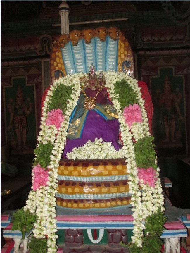 Nagai Sri Lakshmi Narasimhar Utsavam day 2  2014--0006
