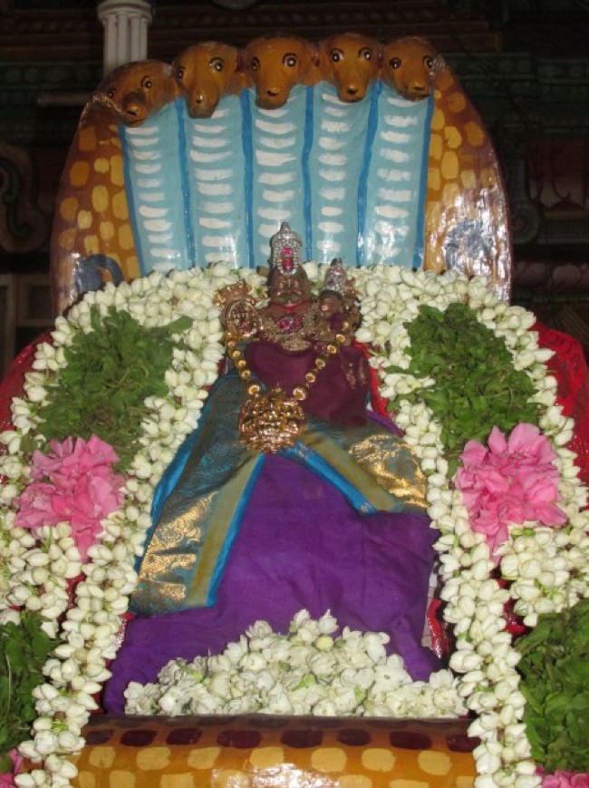 Nagai Sri Lakshmi Narasimhar Utsavam day 3  2014--0000