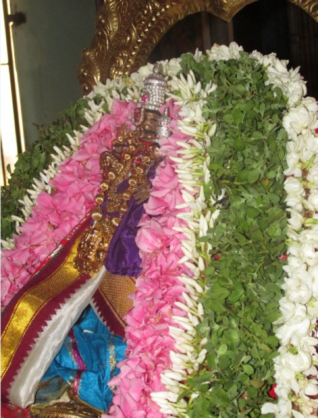 Nagai Sri Lakshmi Narasimhar Vaikasi Brahmotsavam Garuda Sevai 2014--00