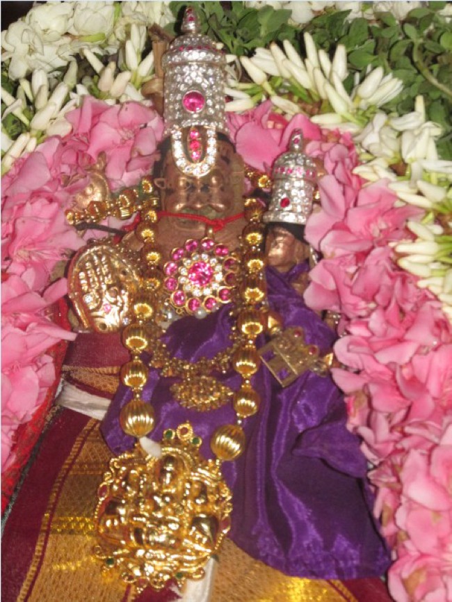 Nagai Sri Lakshmi Narasimhar Vaikasi Brahmotsavam Garuda Sevai 2014--01