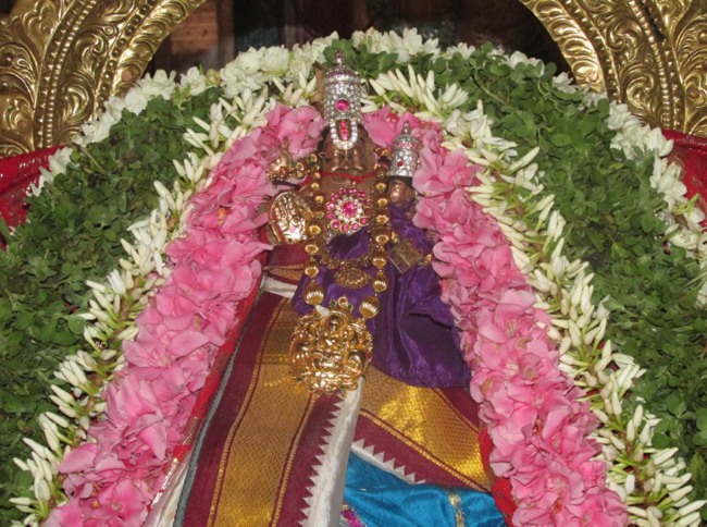 Nagai Sri Lakshmi Narasimhar Vaikasi Brahmotsavam Garuda Sevai 2014--04