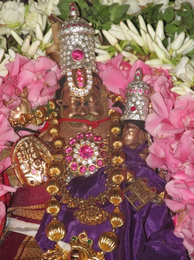 Nagai Sri Lakshmi Narasimhar Vaikasi Brahmotsavam Garuda Sevai 2014--05