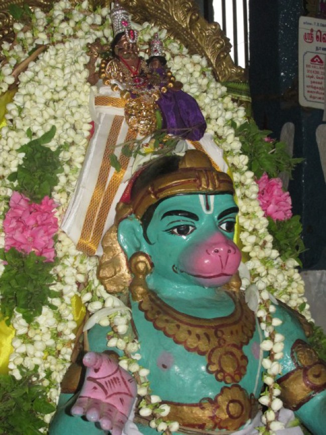 Nagai Sri Lakshmi Narasimhar Vaikasi Brahmotsavam Hanumantha Vahanam 2014--06