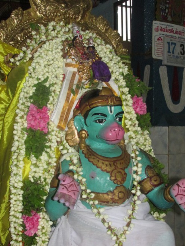 Nagai Sri Lakshmi Narasimhar Vaikasi Brahmotsavam Hanumantha Vahanam 2014--07