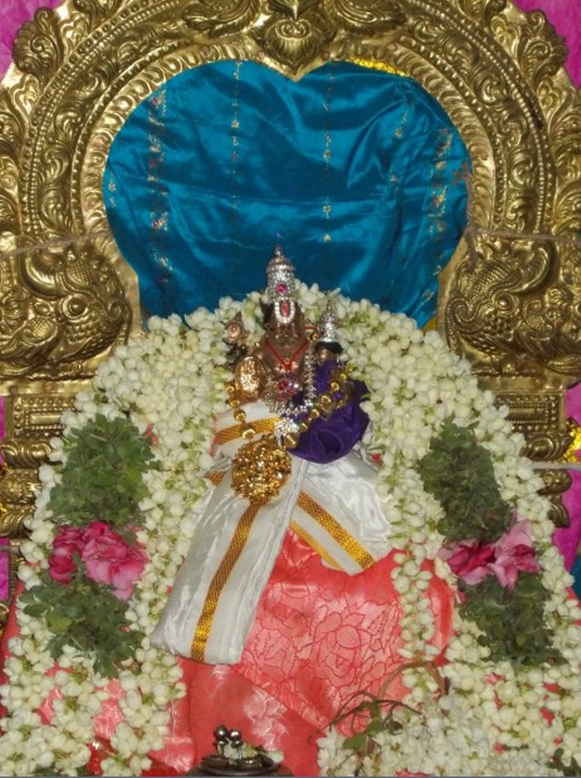Nagapattinam Sri Lakshmi Narasimhar Brahmotsavam day 7   2014 -01