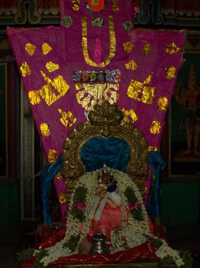 Nagapattinam Sri Lakshmi Narasimhar Brahmotsavam day 7   2014 -05