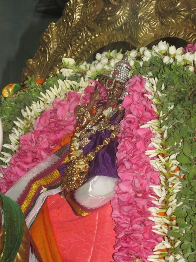 Nagapattinam Sri Lakshmi Narasimhar kovil Brahmotsavam Kudhirai vahanam 2014 -04