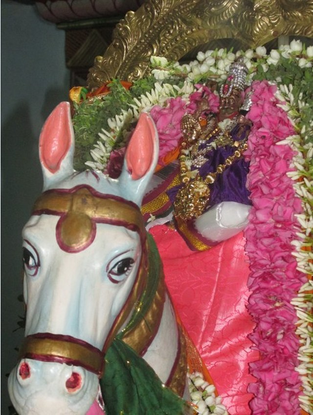 Nagapattinam Sri Lakshmi Narasimhar kovil Brahmotsavam Kudhirai vahanam 2014 -05