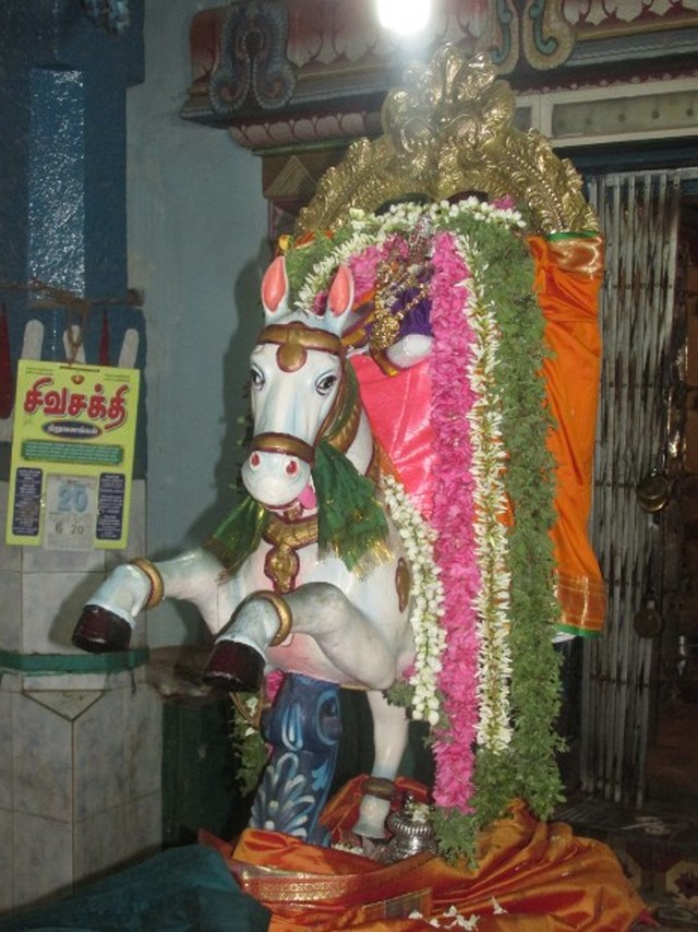 Nagapattinam Sri Lakshmi Narasimhar kovil Brahmotsavam Kudhirai vahanam 2014 -06