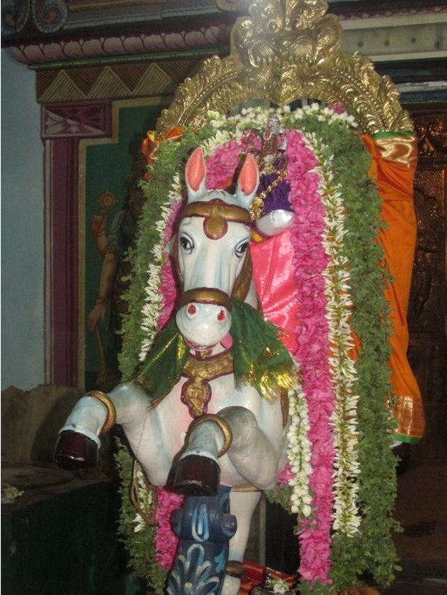 Nagapattinam Sri Lakshmi Narasimhar kovil Brahmotsavam Kudhirai vahanam 2014 -07