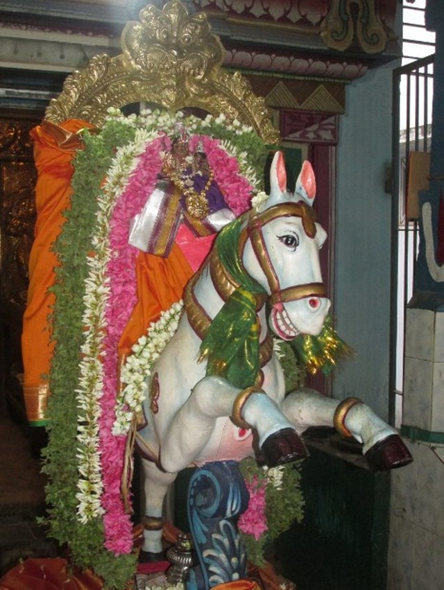 Nagapattinam Sri Lakshmi Narasimhar kovil Brahmotsavam Kudhirai vahanam 2014 -08