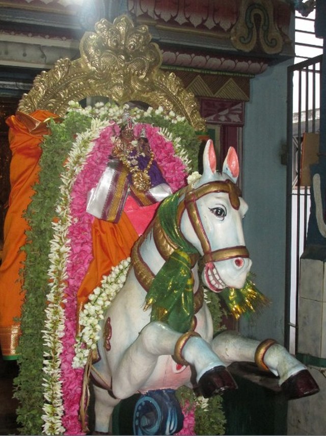 Nagapattinam Sri Lakshmi Narasimhar kovil Brahmotsavam Kudhirai vahanam 2014 -09