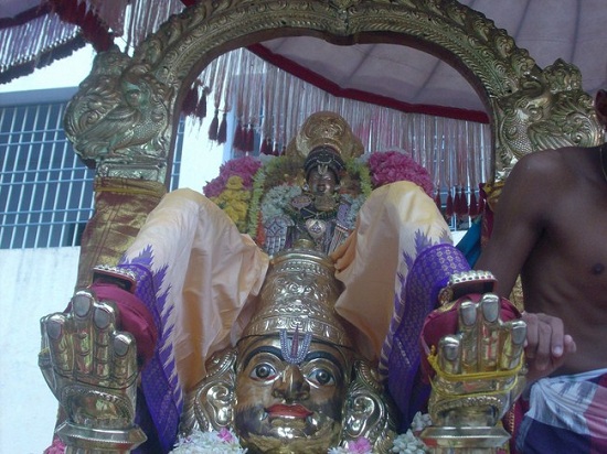 Nanganallur Pancha Garuda Sevai Mahothsavam 39