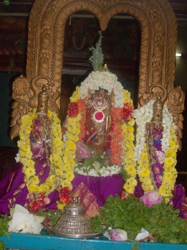 Nanganallur Sri Lakshmi Hayavadhana Perumal Sri Bhashayakara Avathara uthsavam13