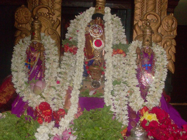 Nanganallur Sri Lakshmi Hayavadhana Perumal Sri Bhashayakara Avathara uthsavam22