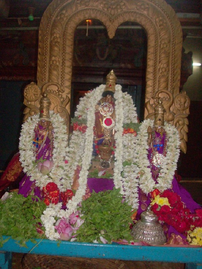 Nanganallur Sri Lakshmi Hayavadhana Perumal Sri Bhashayakara Avathara uthsavam24