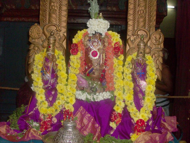 Nanganallur Sri Lakshmi Hayavadhana Perumal Sri Bhashayakara Avathara uthsavam4