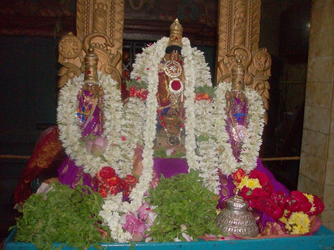 Nanganallur Sri Lakshmi Hayavadhana Perumal Sri Bhashayakara Avathara uthsavam6