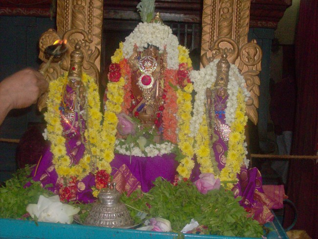 Nanganallur Sri Lakshmi Hayavadhana Perumal Sri Bhashayakara Avathara uthsavam7