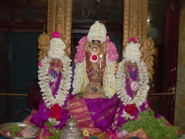 Nanganallur Sri Lakshmi Hayavadhana Perumal Temple Bhasyakara Avathara uthsavam2