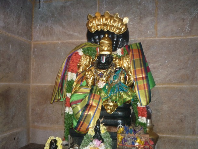 Narasimha Jayanthi At Srirangam Ahobila Mutt Uthira Veedhi  2014 -01