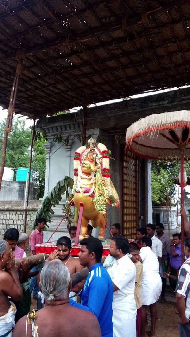 Puduvayal Sri Vijayaragahva Perumal Temple Brahmotsavam Hamsa vahanam 2014--01