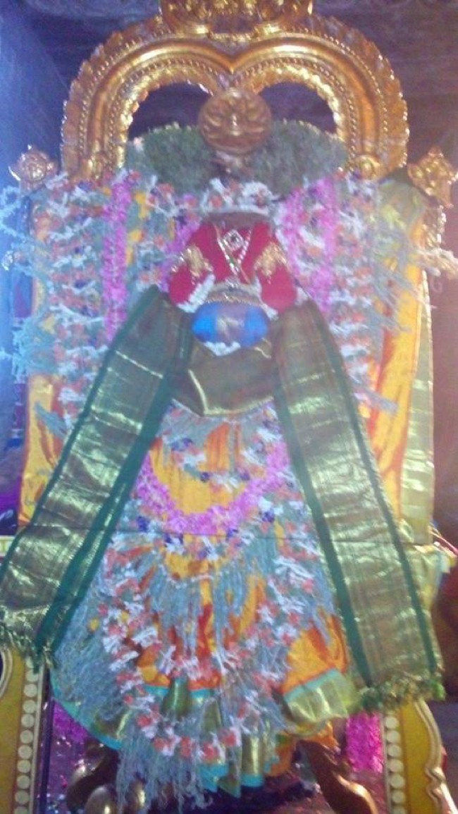 Puduvayal Sri Vijayaragahva Perumal Temple Brahmotsavam Hanumantha vahanam 2014--01