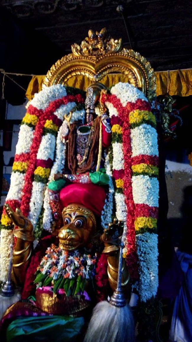 Puduvayal Sri Vijayaragahva Perumal Temple Brahmotsavam Hanumantha vahanam 2014--02