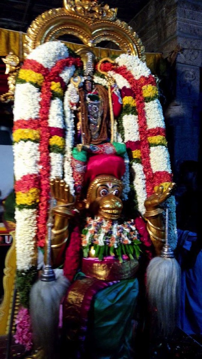 Puduvayal Sri Vijayaragahva Perumal Temple Brahmotsavam Hanumantha vahanam 2014--03