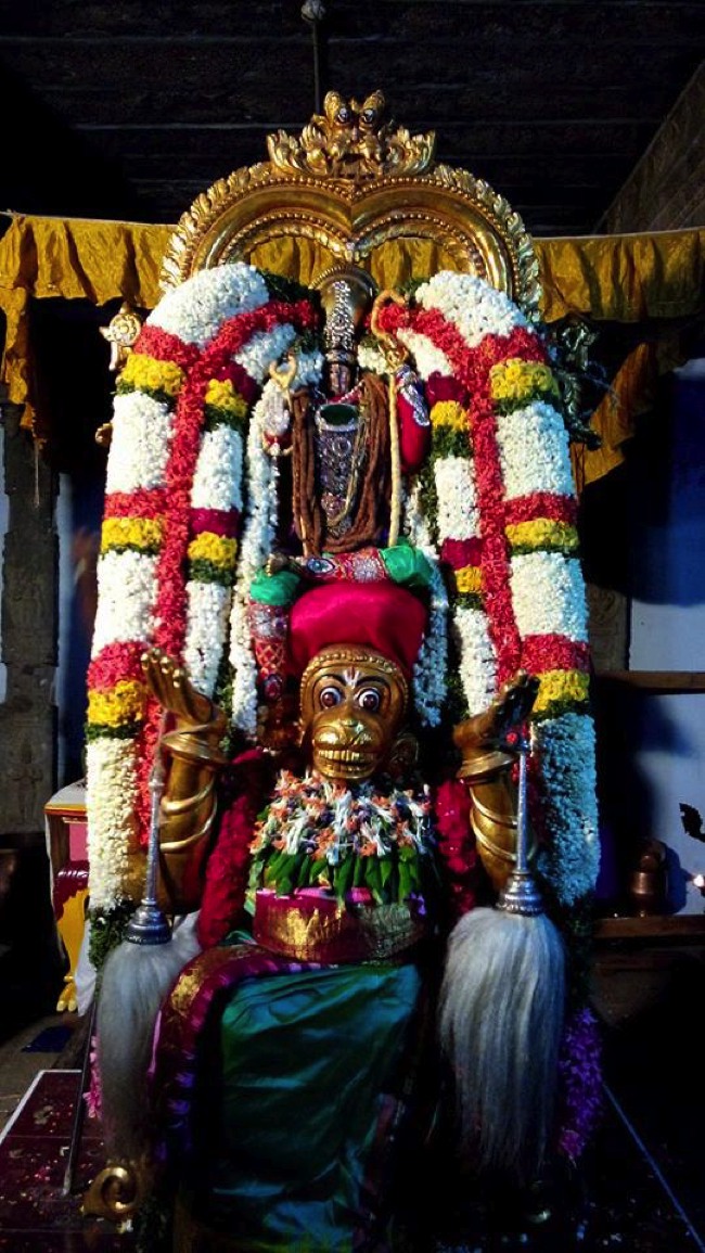 Puduvayal Sri Vijayaragahva Perumal Temple Brahmotsavam Hanumantha vahanam 2014--04